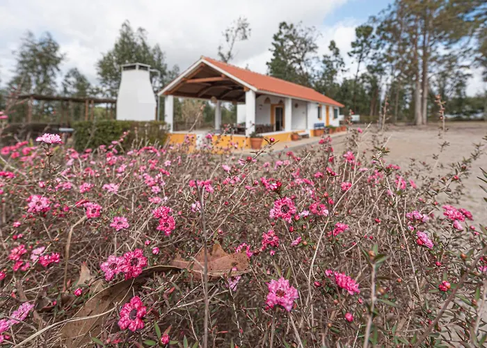 度假居 Casa Do Cacador 塞辛布拉